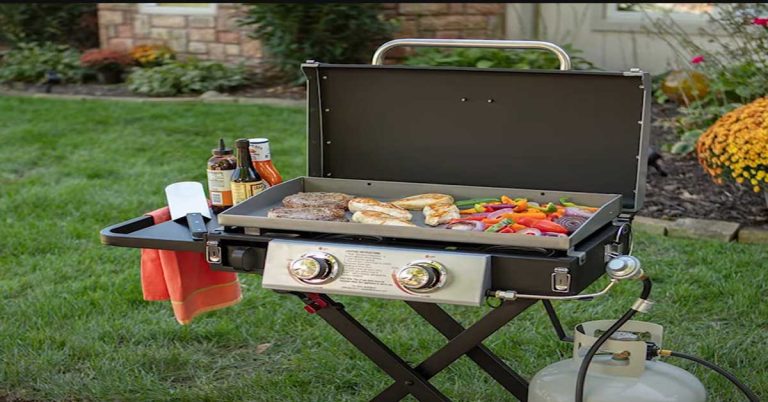 Best Griddle Grill Portable for tyake away.